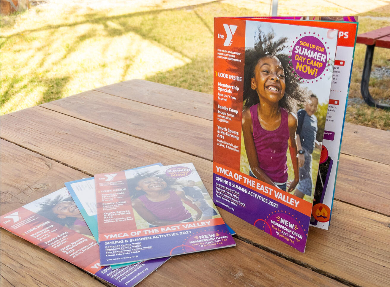 Summer Campaign Mailer